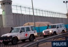 صحيفة صهيونية تكشف أوضاع المعتقلين الفلسطينيين في السجون